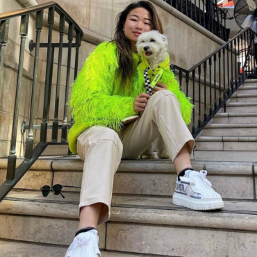 Luxury Dog and Cat Pet Fashion & Accessories– Moshiqa Store