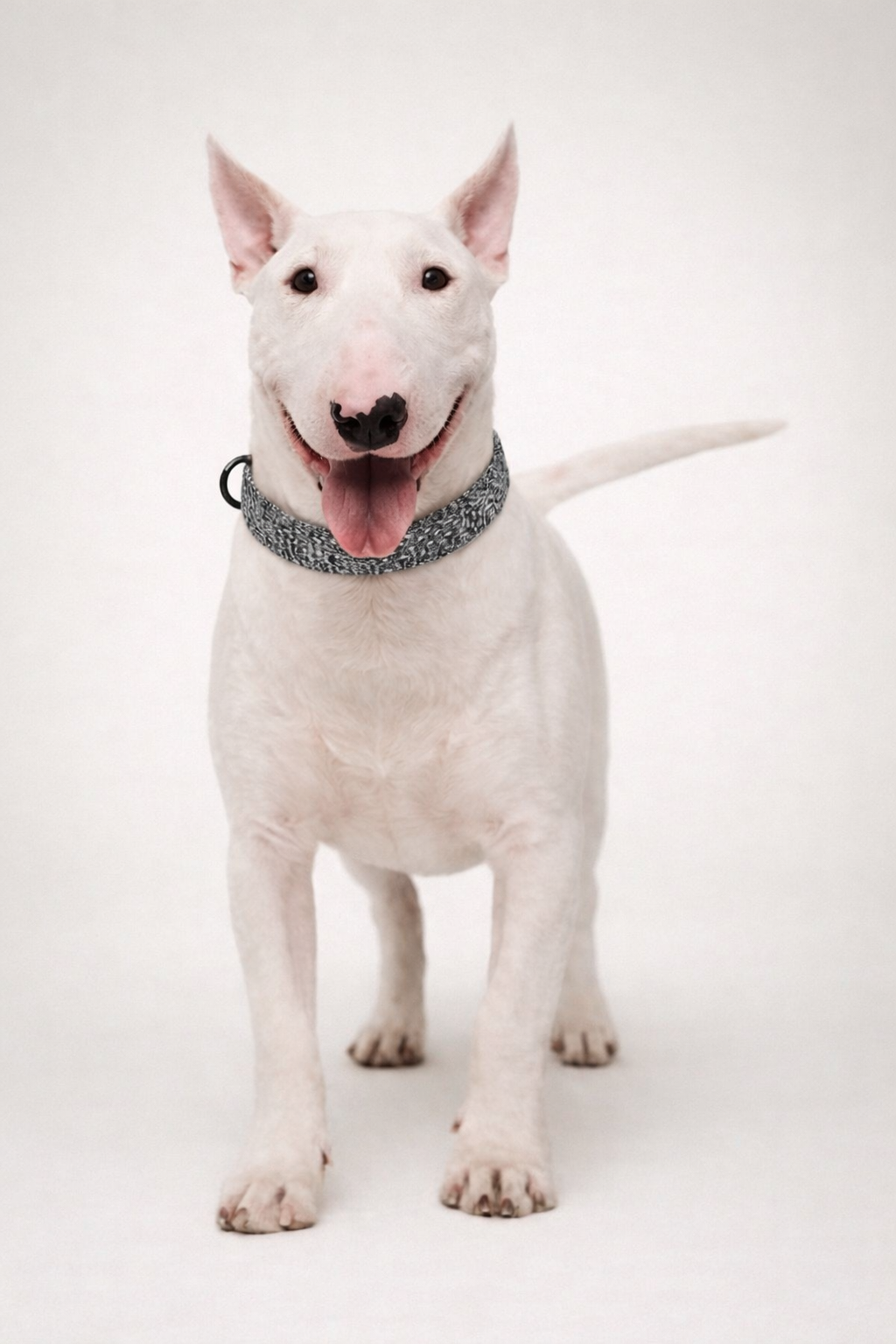 Airknit™ Collar · Stormi
