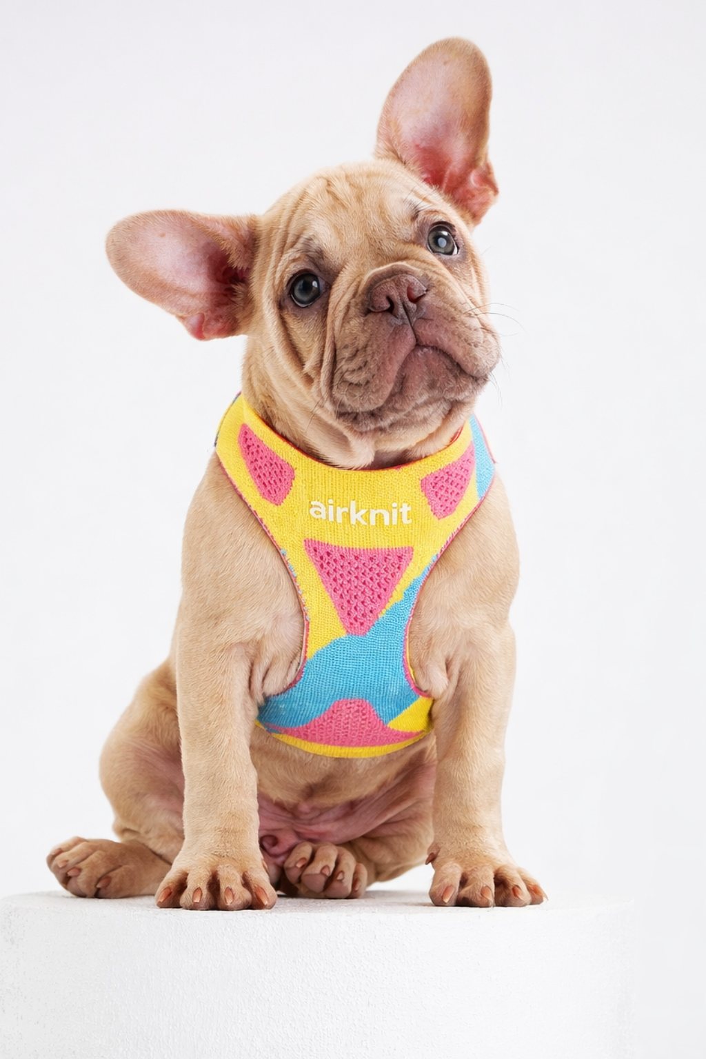 AirKnit™ Harness · Popshock