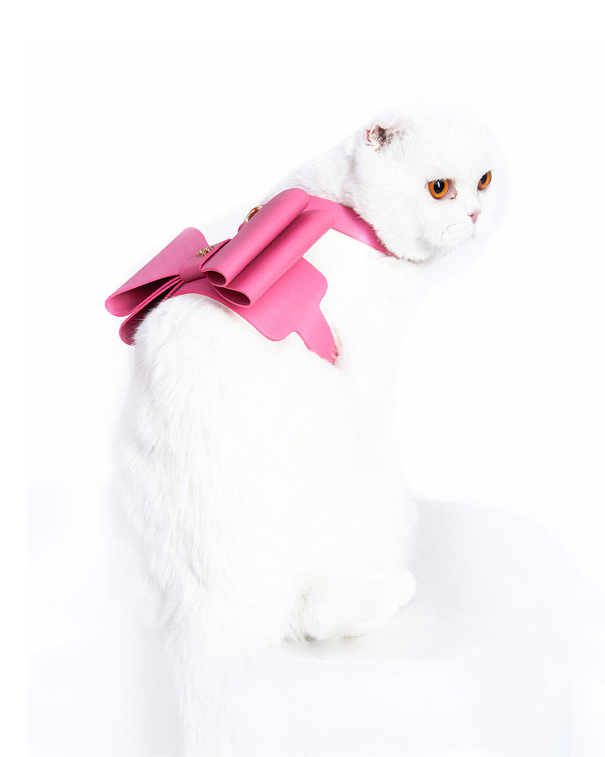 Metapink Bow Cat Harness