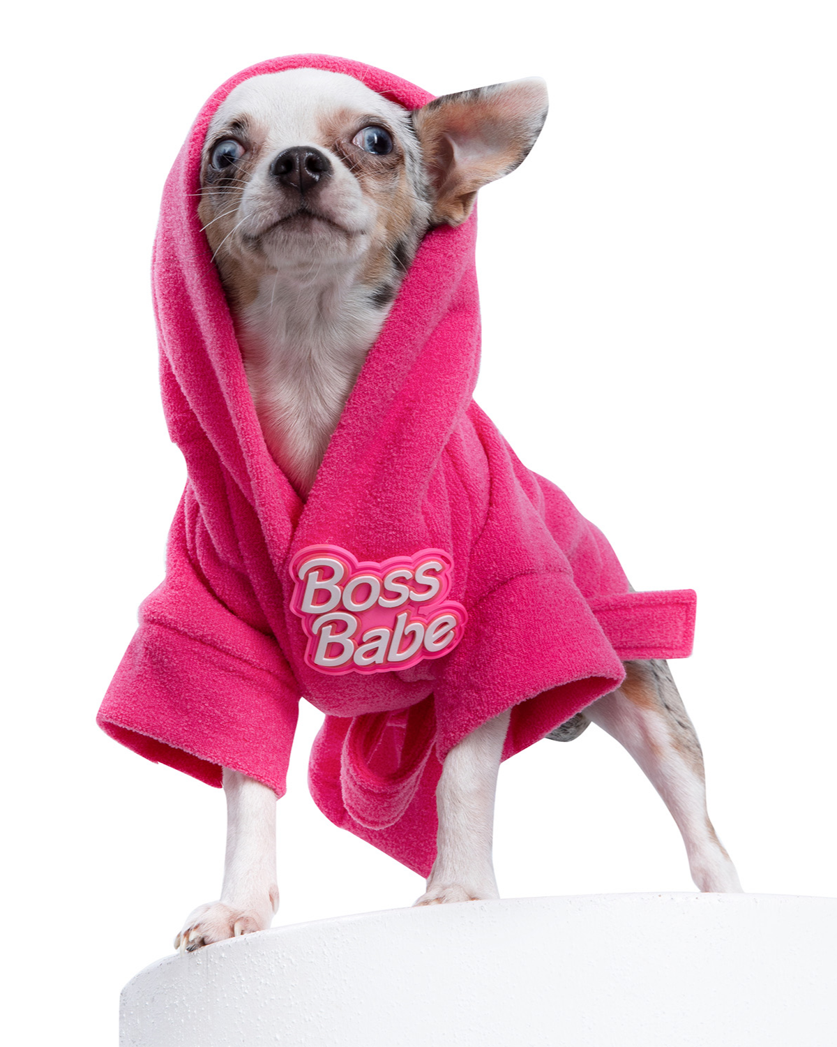 Puppy Camping Sweater Bathrobe Dog Hotel Bathrobe Pet Nightgown Towel – KOL  PET