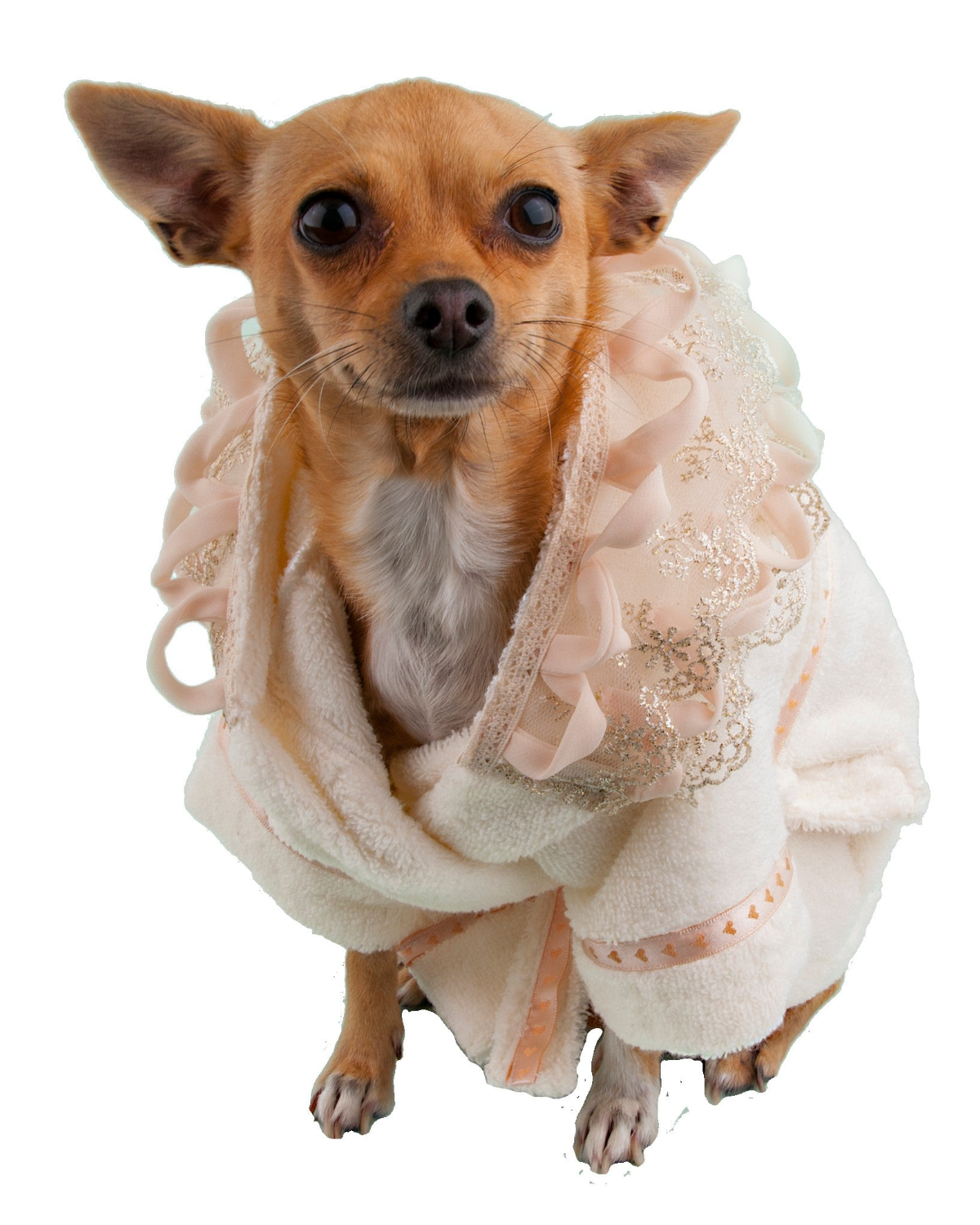 Principessa Dog Luxurious Bathrobe– Moshiqa Store