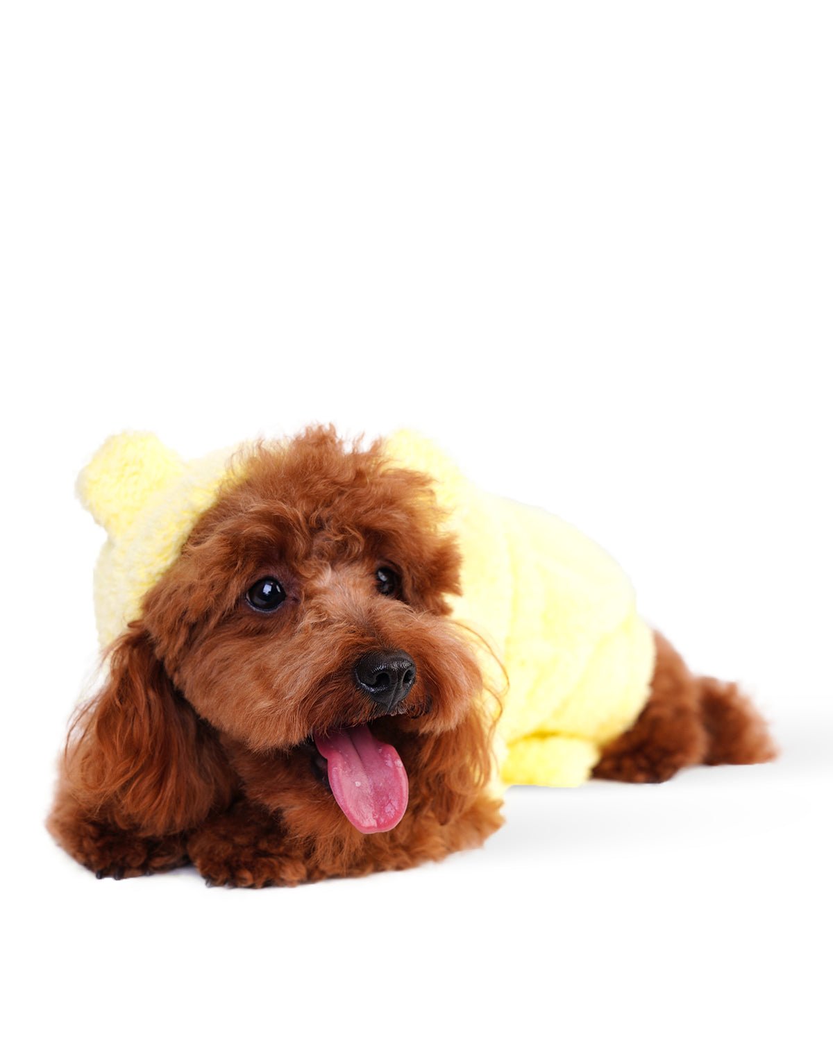 Baby Chick Dog Bathrobe - Moshiqa Store