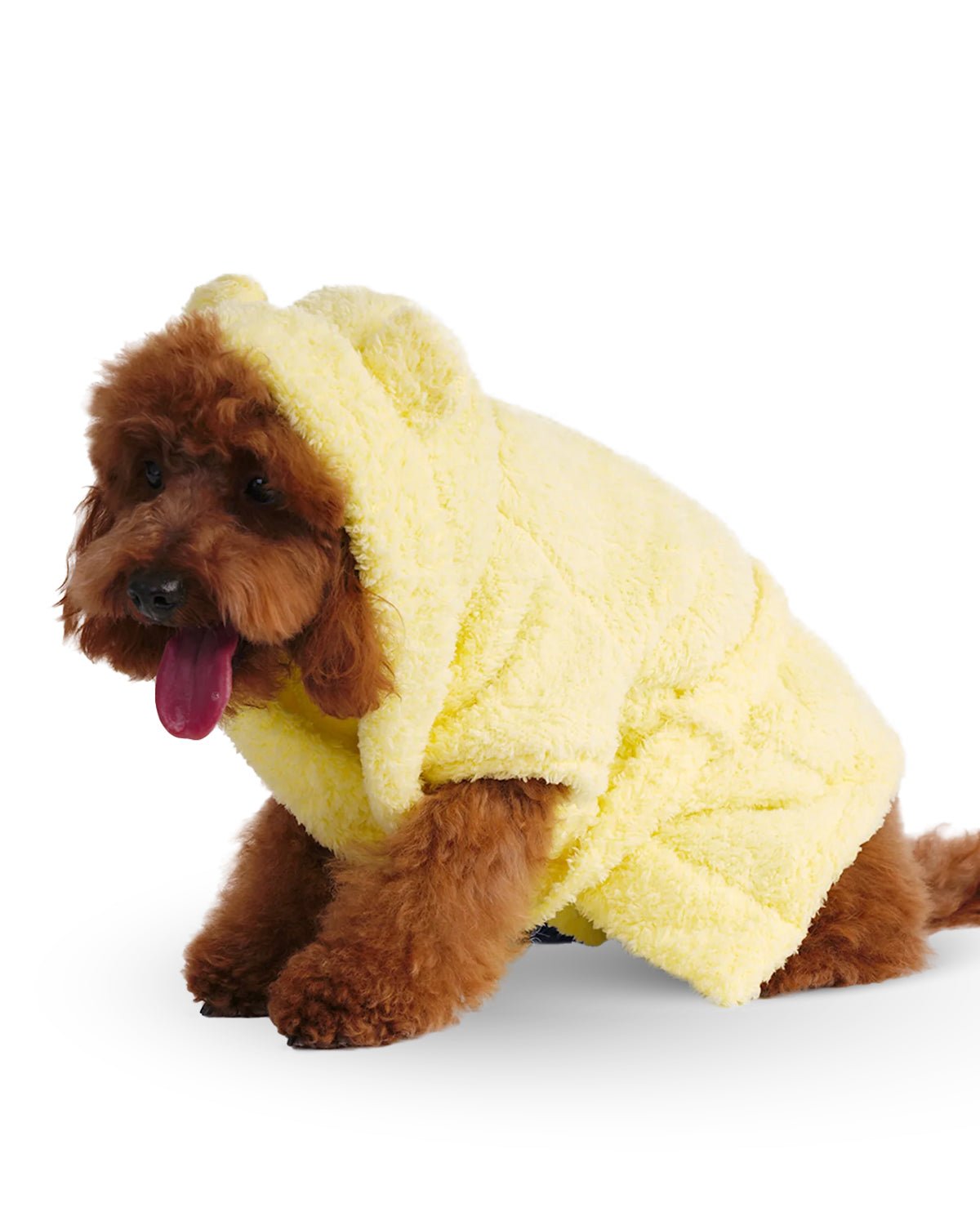 Baby Chick Dog Bathrobe - Moshiqa Store
