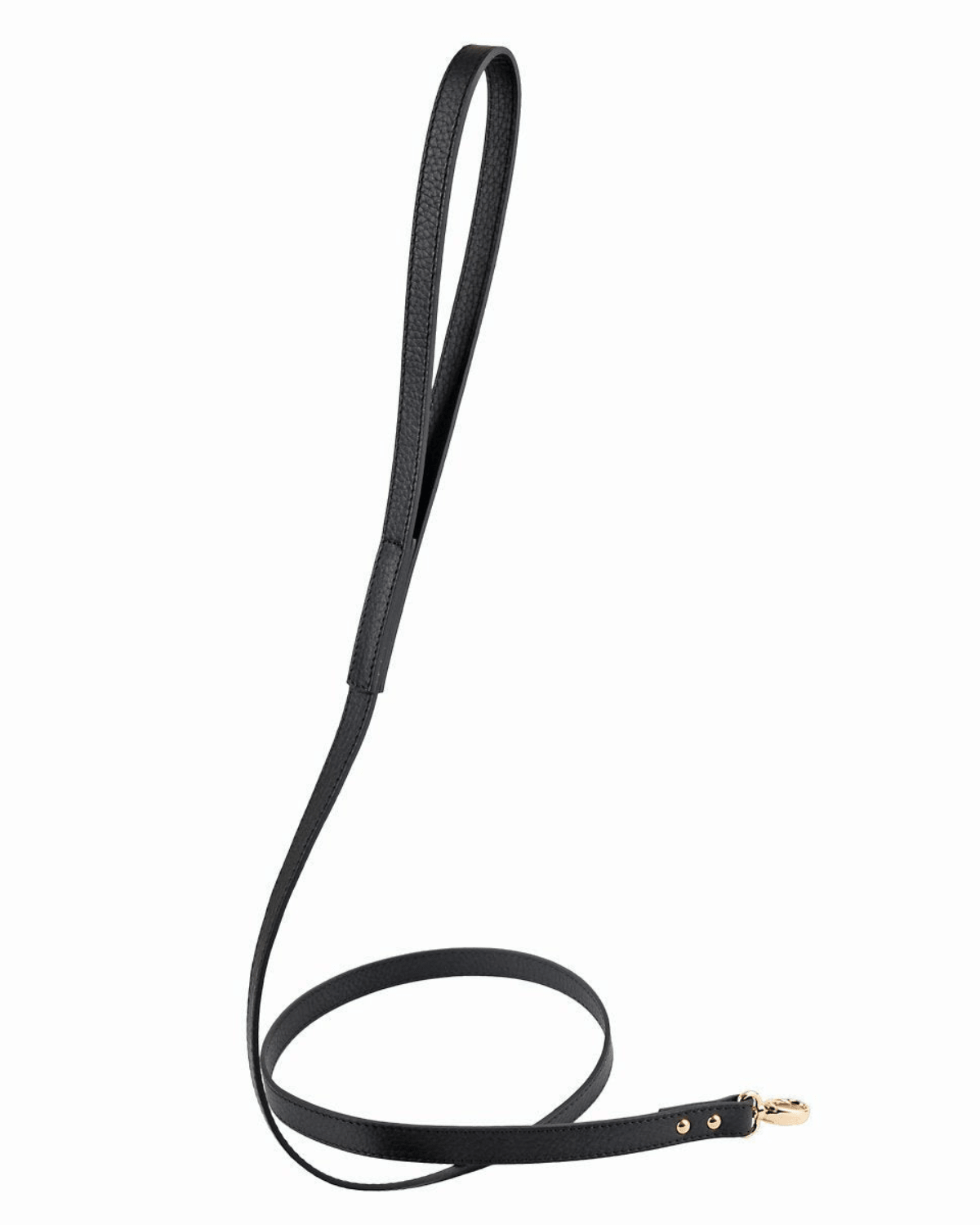 Balley Dog Leash - Moshiqa Store