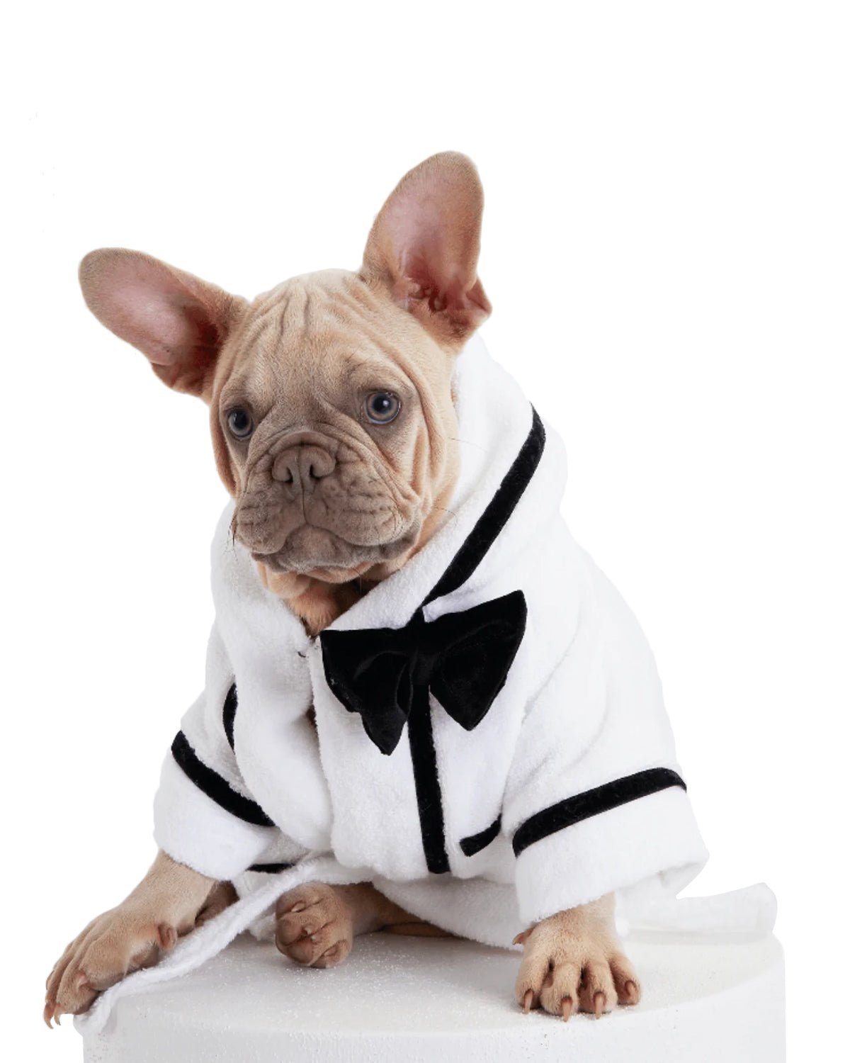 Best Man Dog Bathrobe - Moshiqa Store