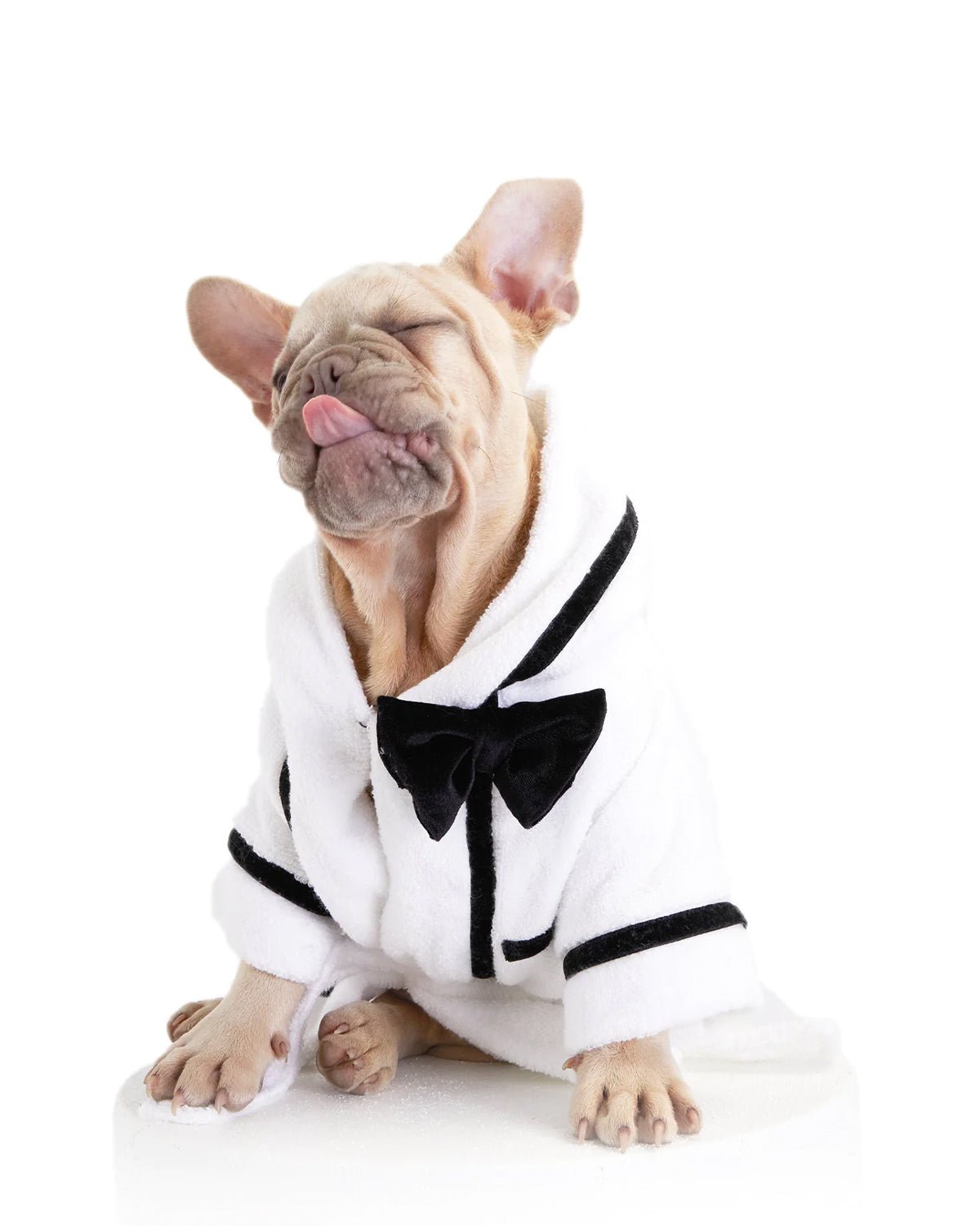 Best Man Dog Bathrobe - Moshiqa Store