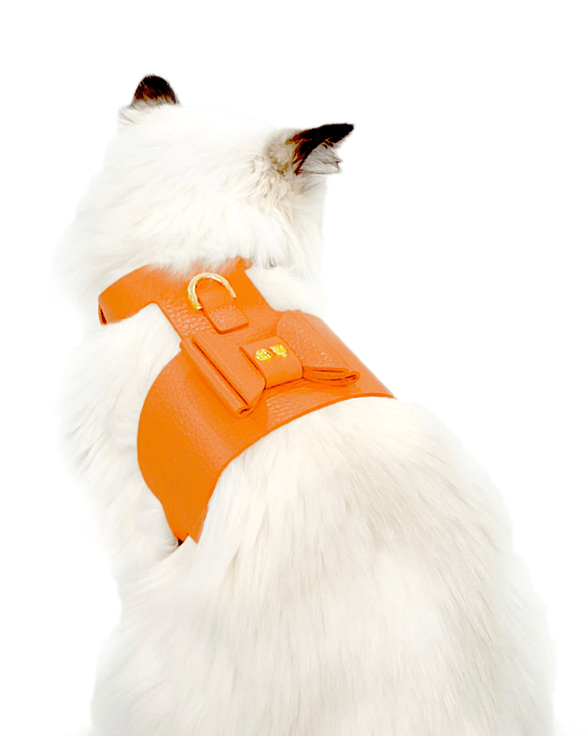 Bijou Cat Harness - Moshiqa Store