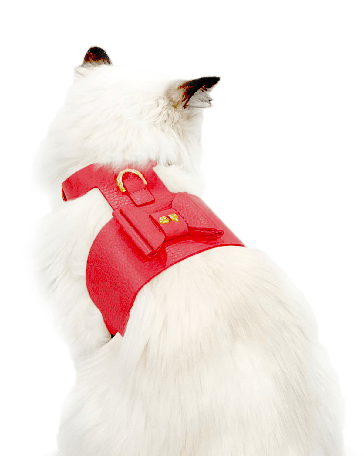 Bijou Cat Harness - Moshiqa Store