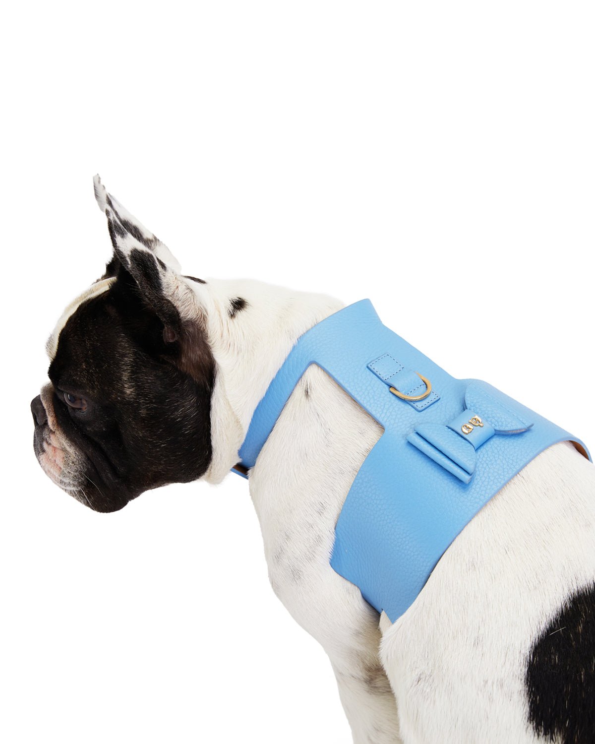 Bijou Dog Harness - Moshiqa Store
