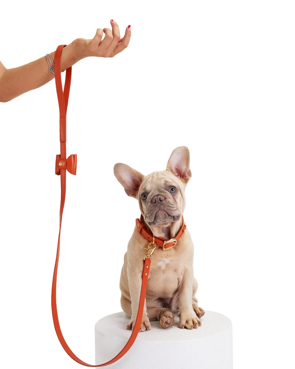 Bisou Dog Leash - Moshiqa Store