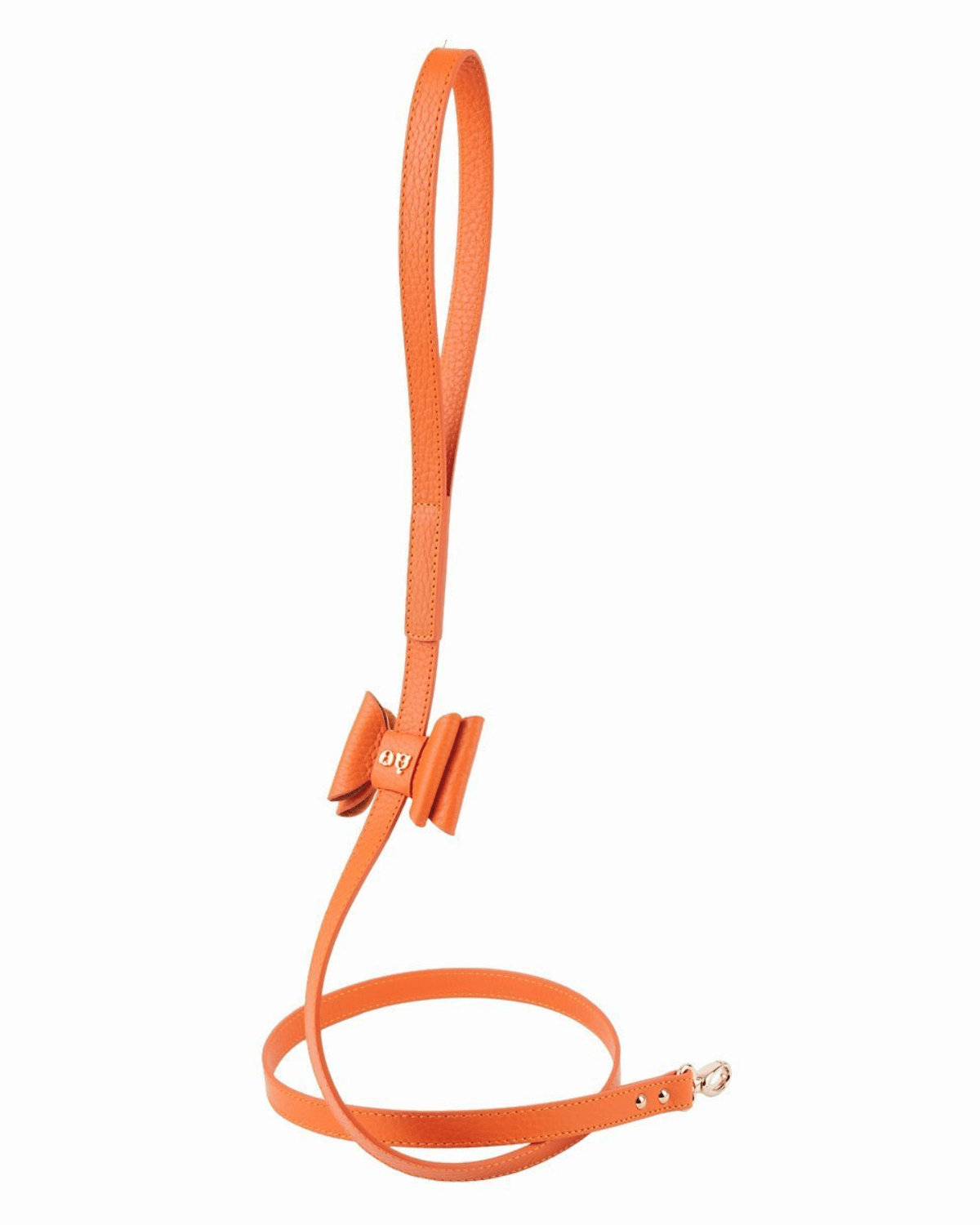 Bisou Dog Leash - Moshiqa Store