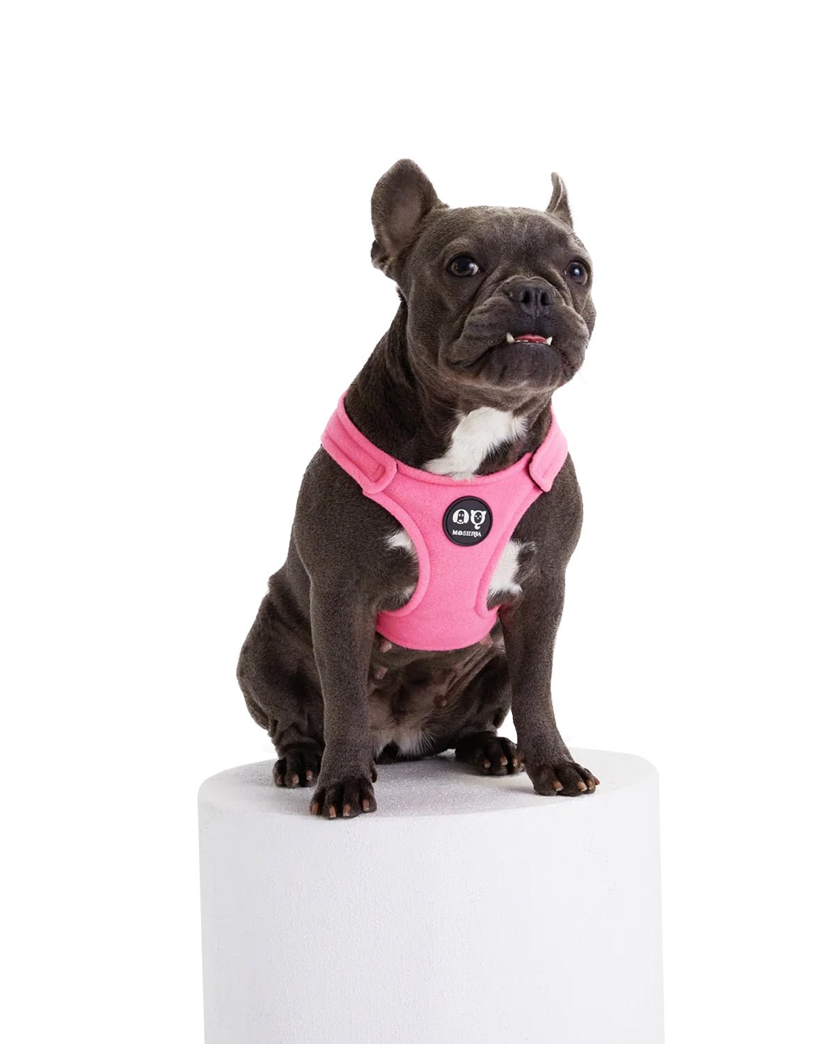 Bonbon Dog Harness - Moshiqa Store