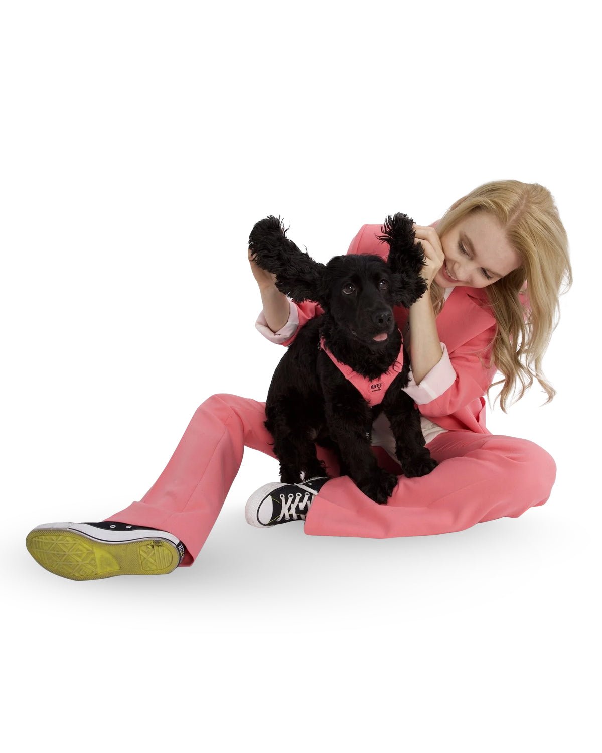 Bonbon Dog Harness - Moshiqa Store