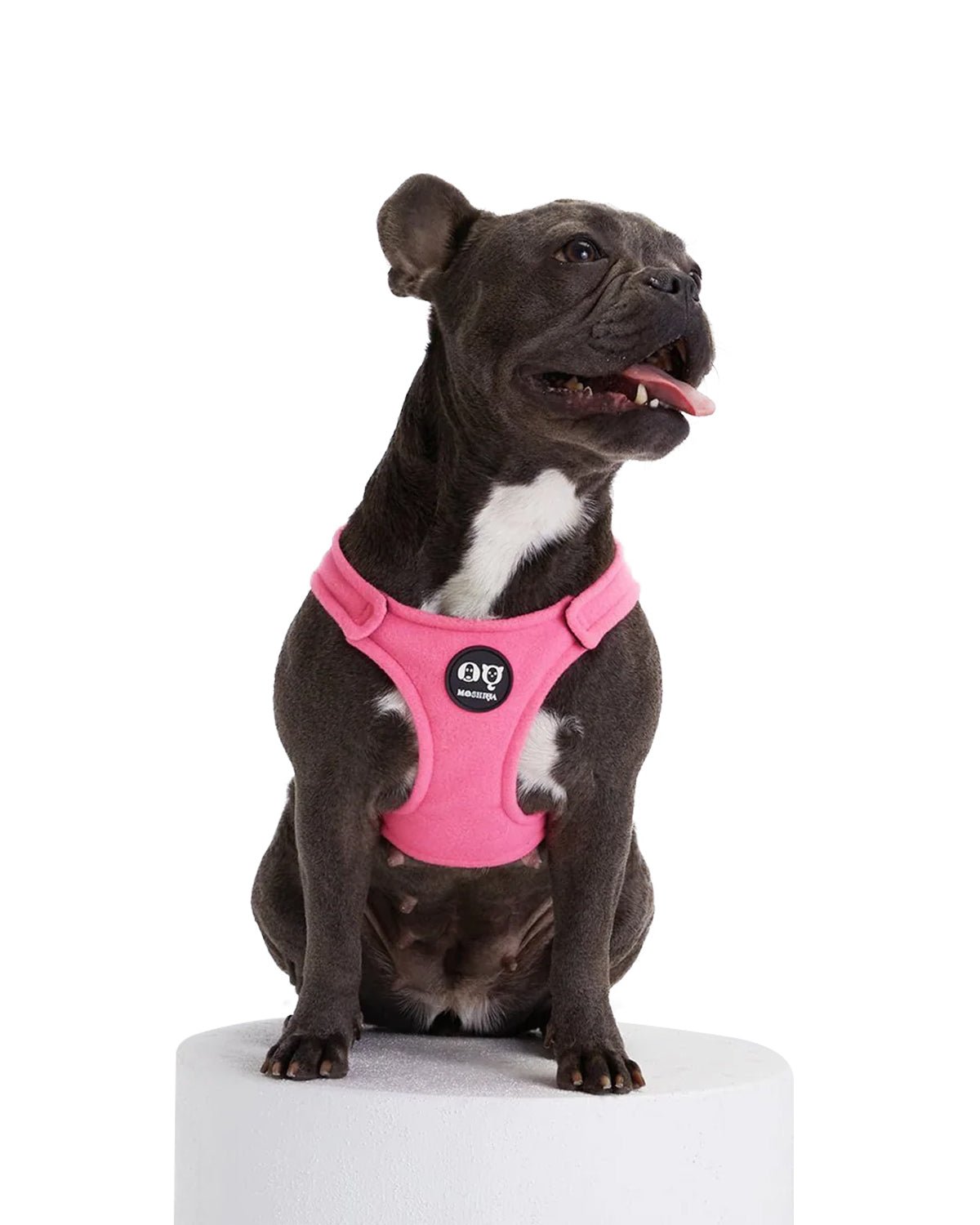 Bonbon Dog Harness - Moshiqa Store
