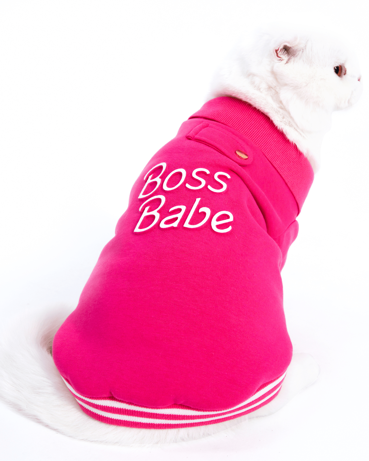 Boss Babe Cat Sweatshirt - Moshiqa Store