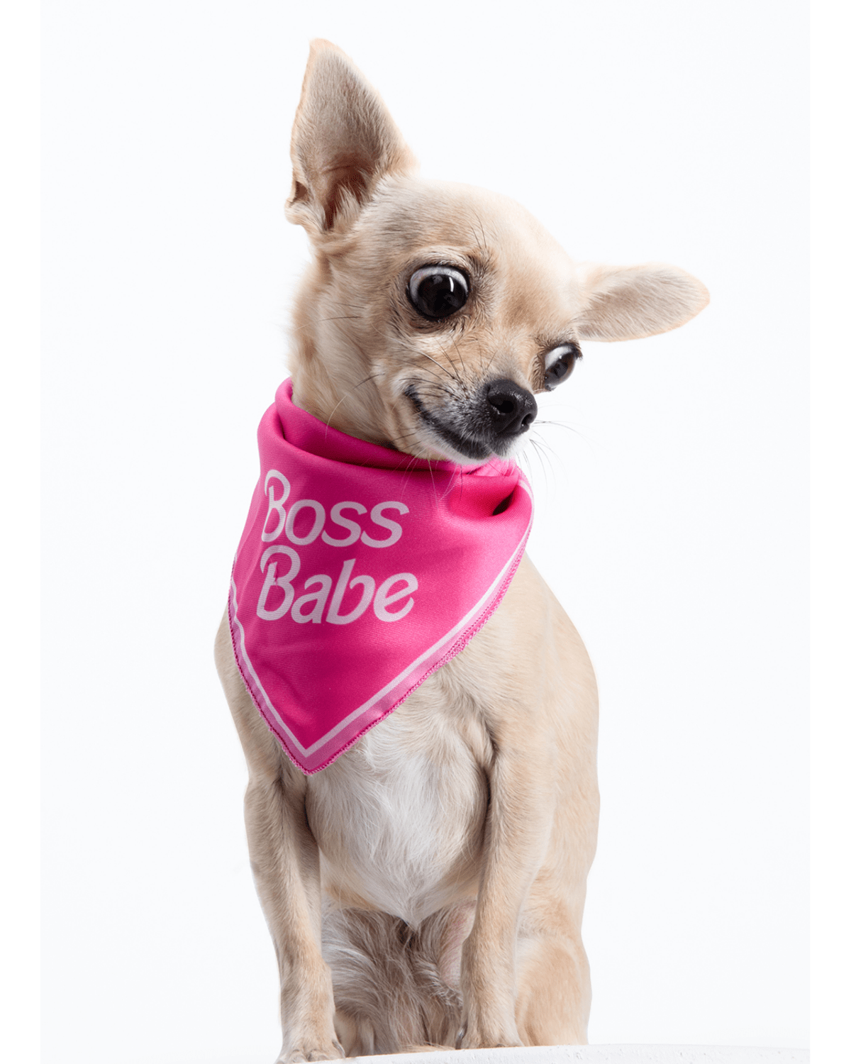 Boss Babe Dog Bandana - Moshiqa Store