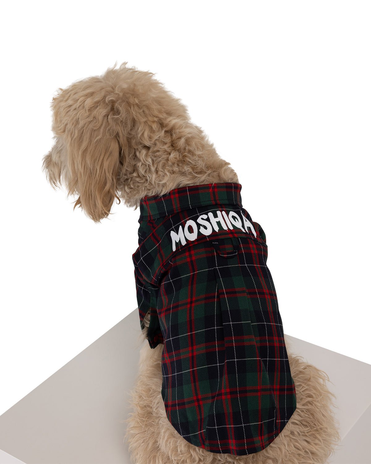 Brad Dog Shirt - Moshiqa Store
