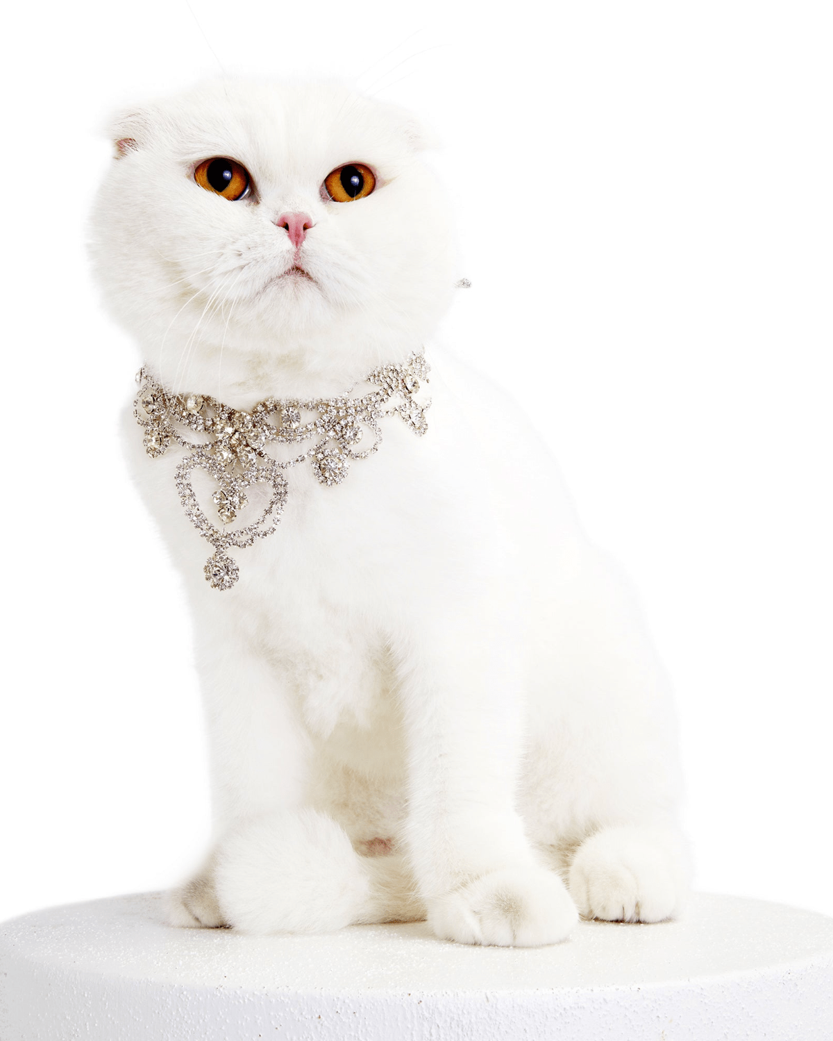 Christian Cowan Cat Necklace - Moshiqa Store