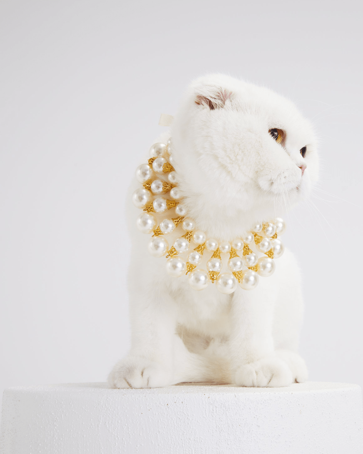 Dubai Cat Necklace - Moshiqa Store