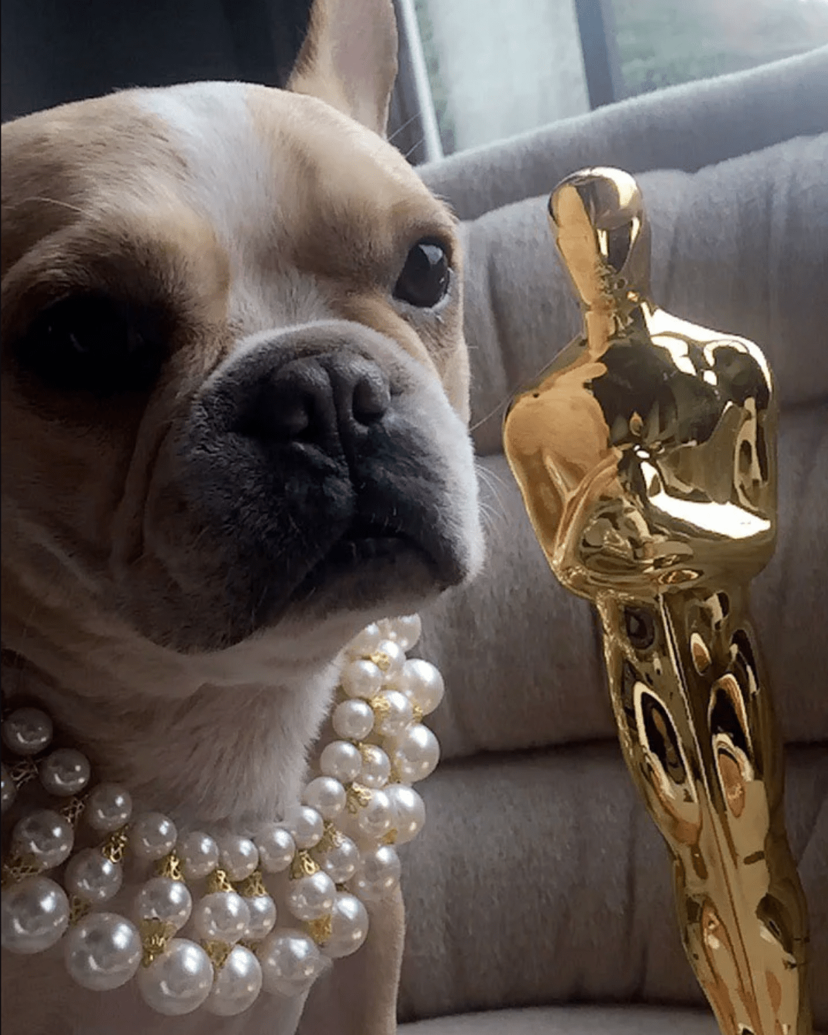 Dubai Dog Necklace - Moshiqa Store