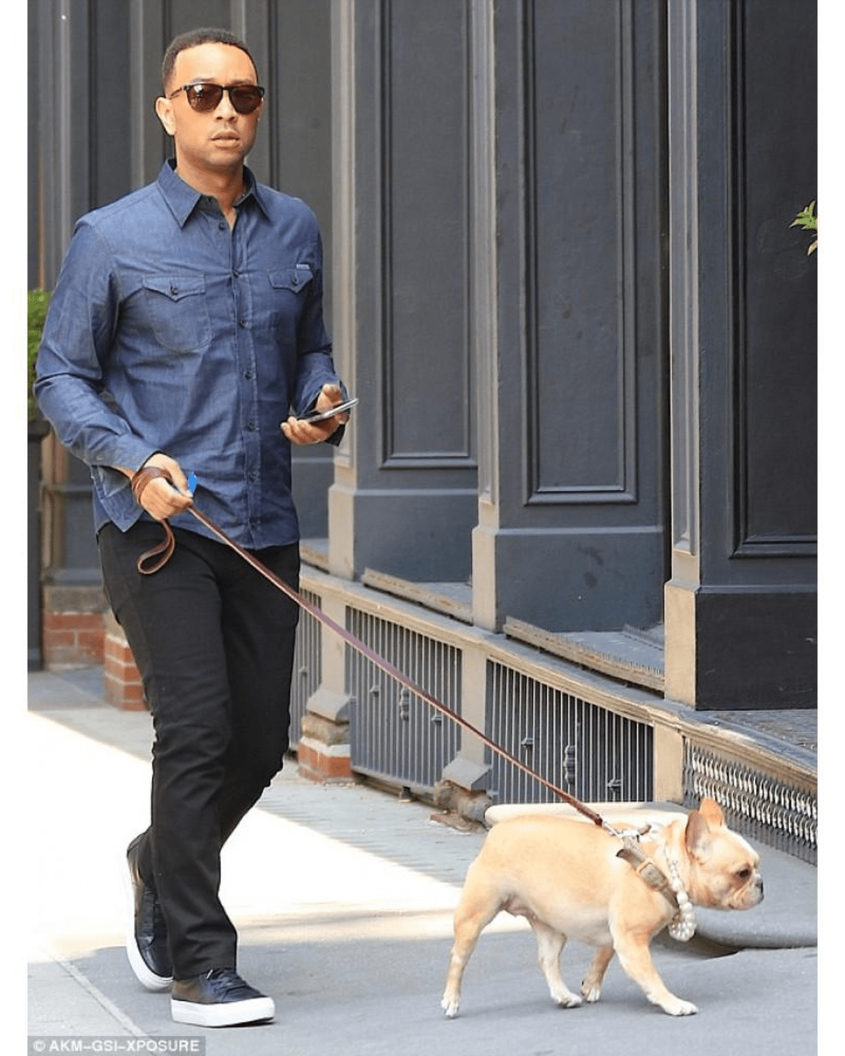 Dubai Dog Necklace - Moshiqa Store