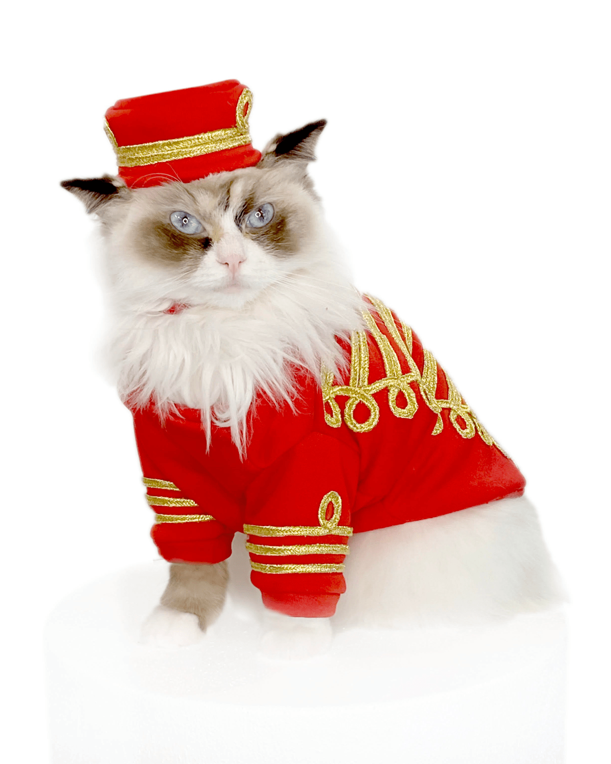 Empire Cat Sweatshirt - Moshiqa Store