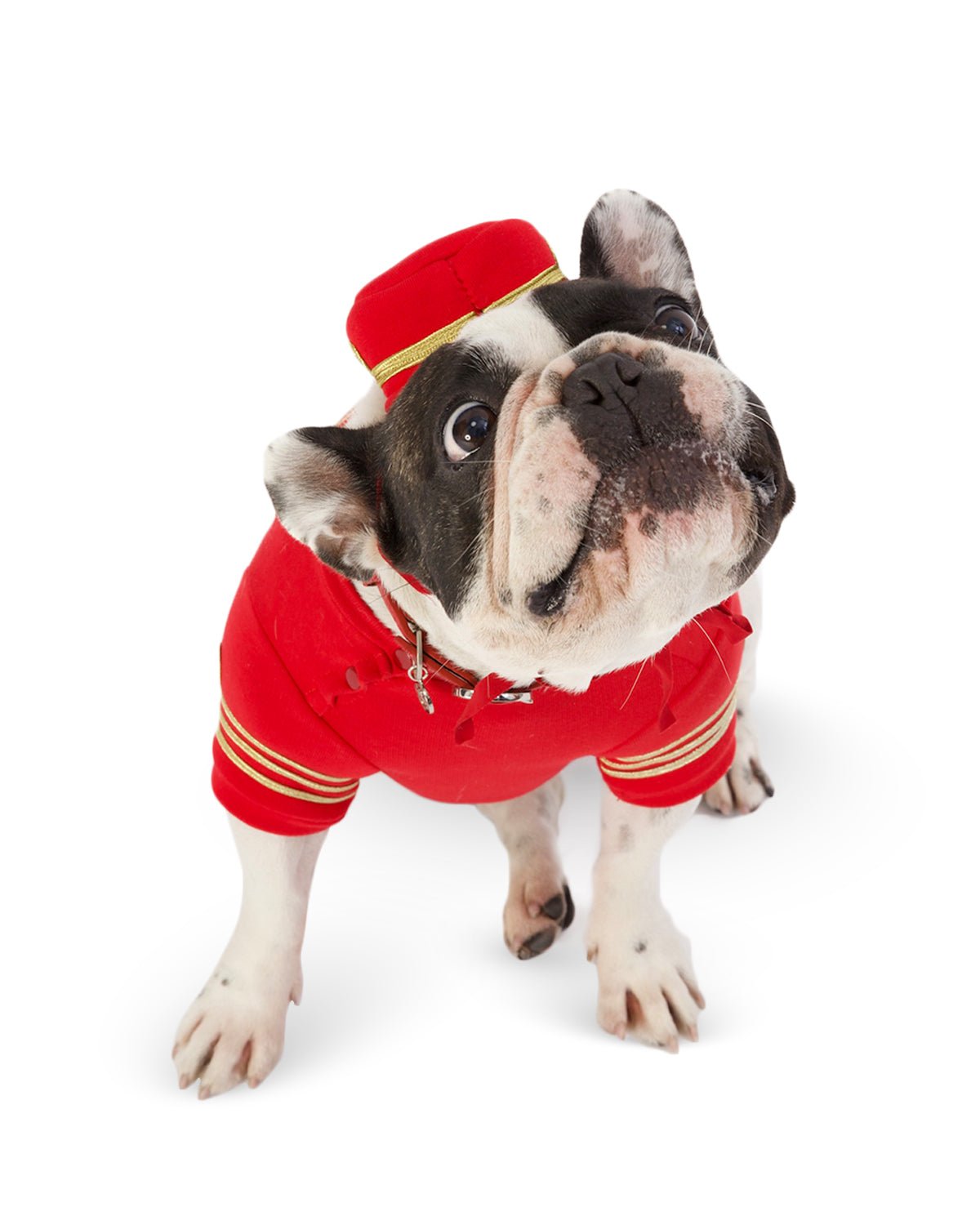 Empire Dog Sweatshirt - Moshiqa Store