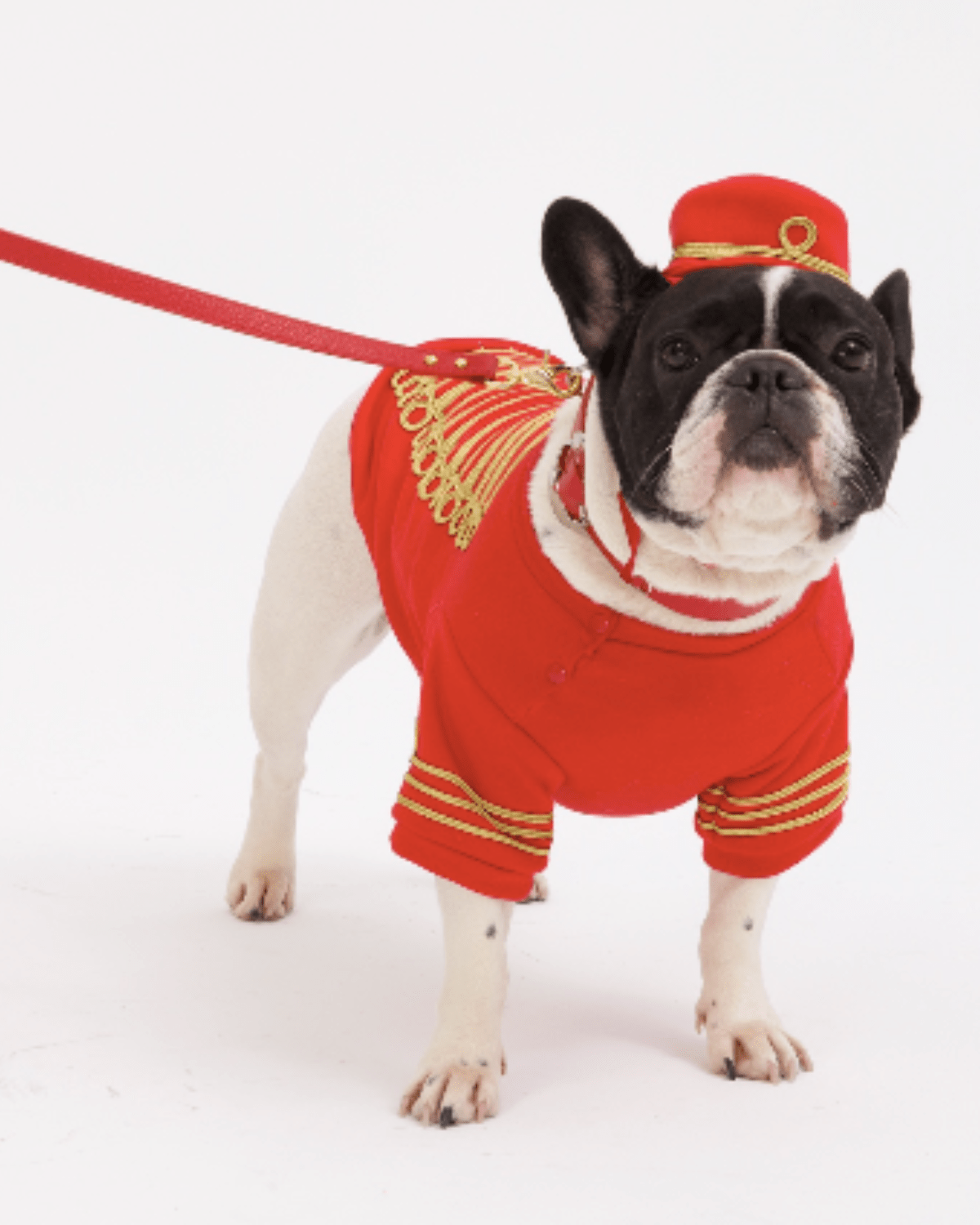 Empire Dog Sweatshirt - Moshiqa Store