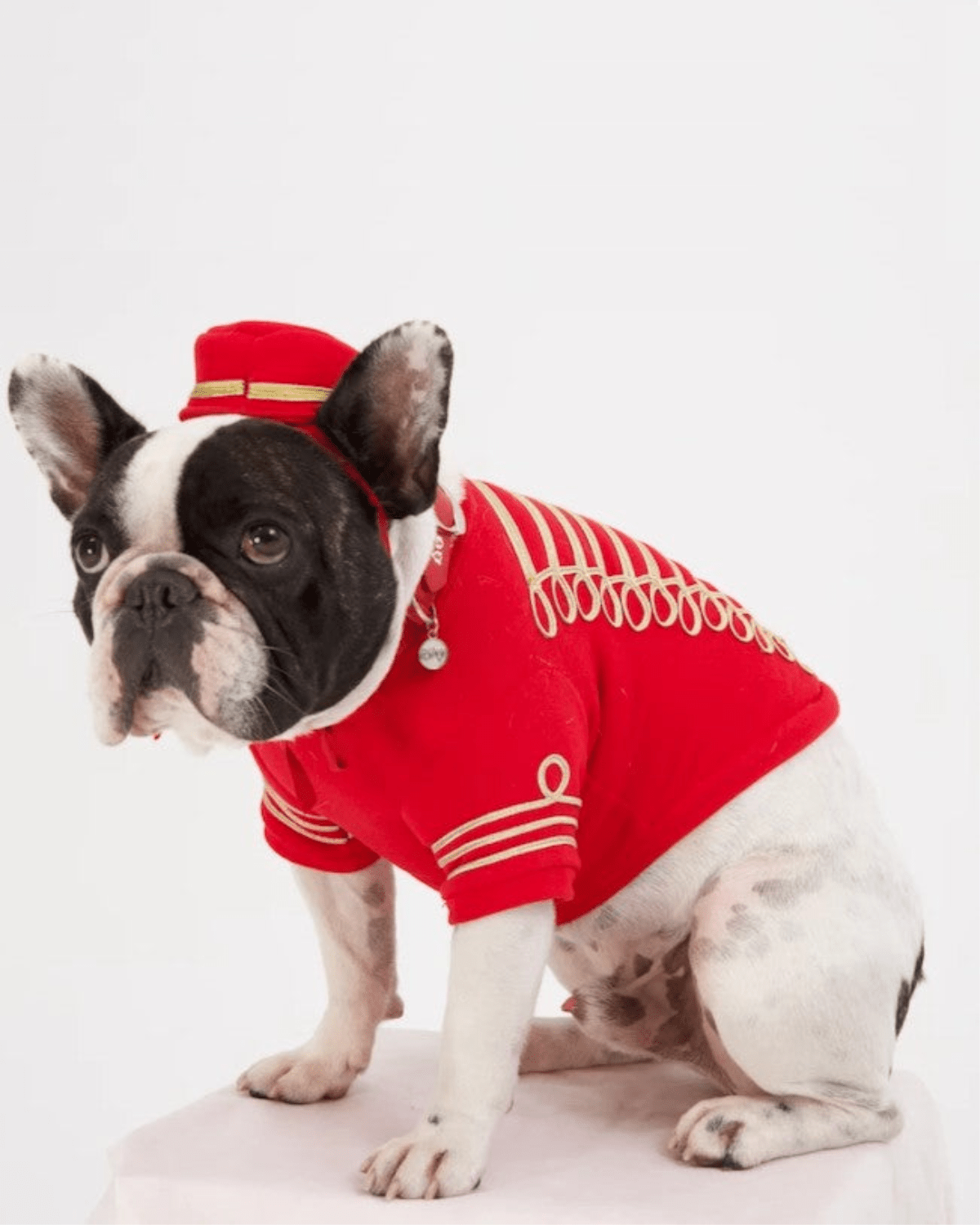 Empire Dog Sweatshirt - Moshiqa Store