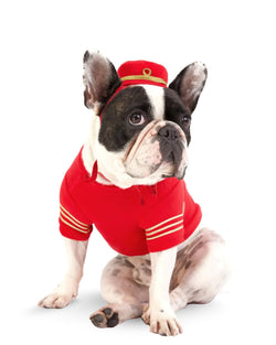 Empire Dog Sweatshirt