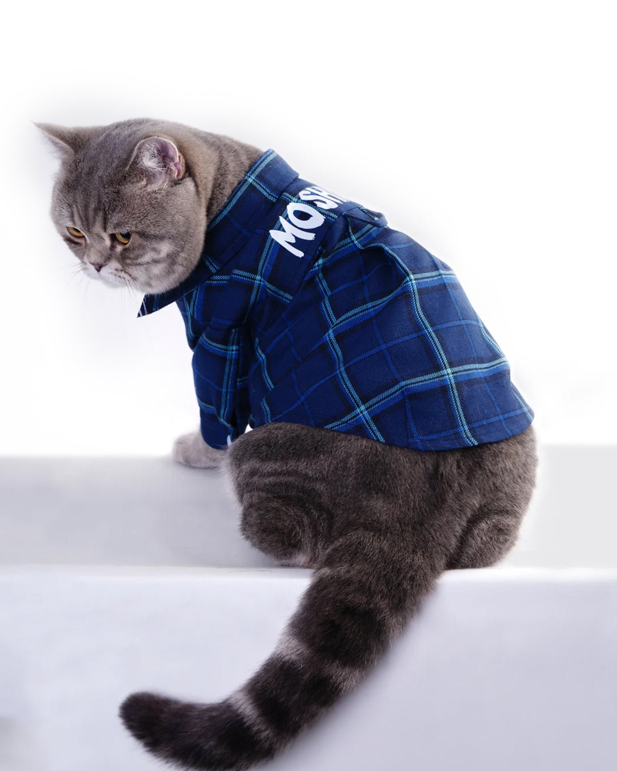 Eros Cat Shirt - Moshiqa Store