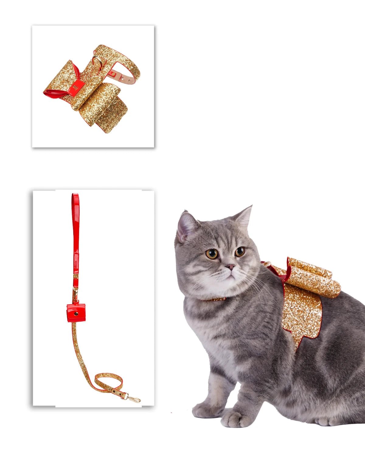 Glam Cat Bundle - Moshiqa Store