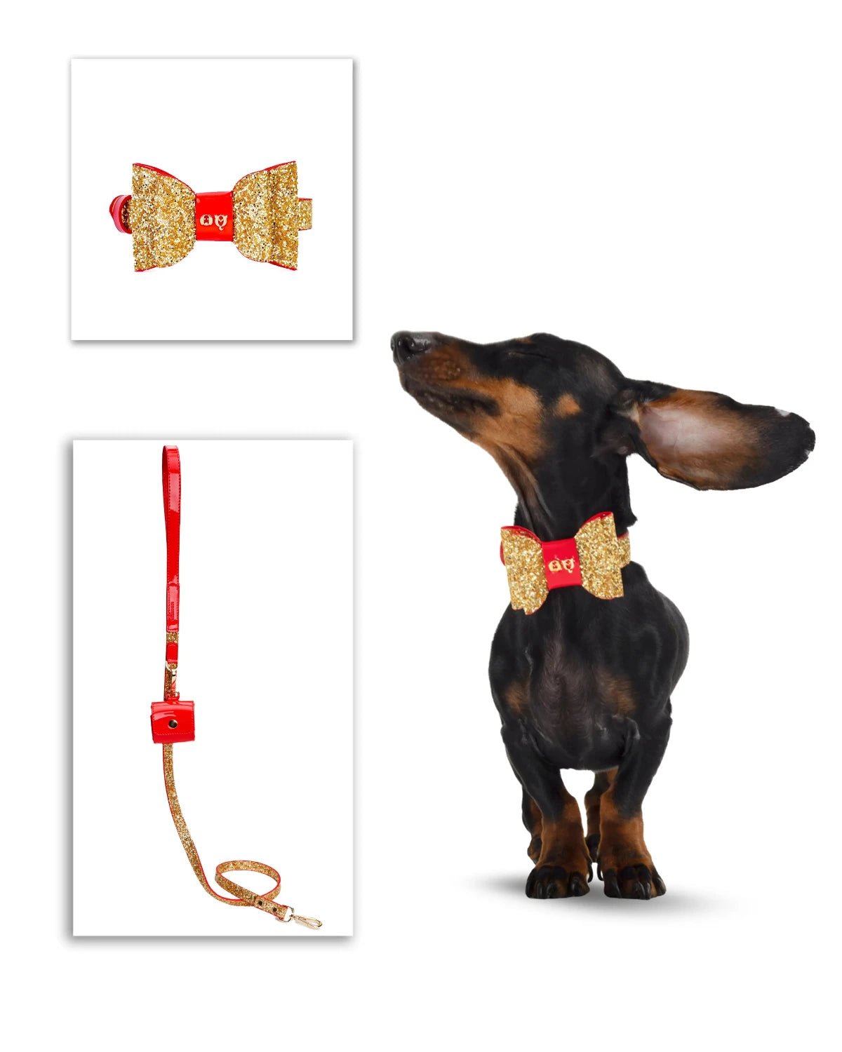 Glam Dog Collar & Leash - Moshiqa Store