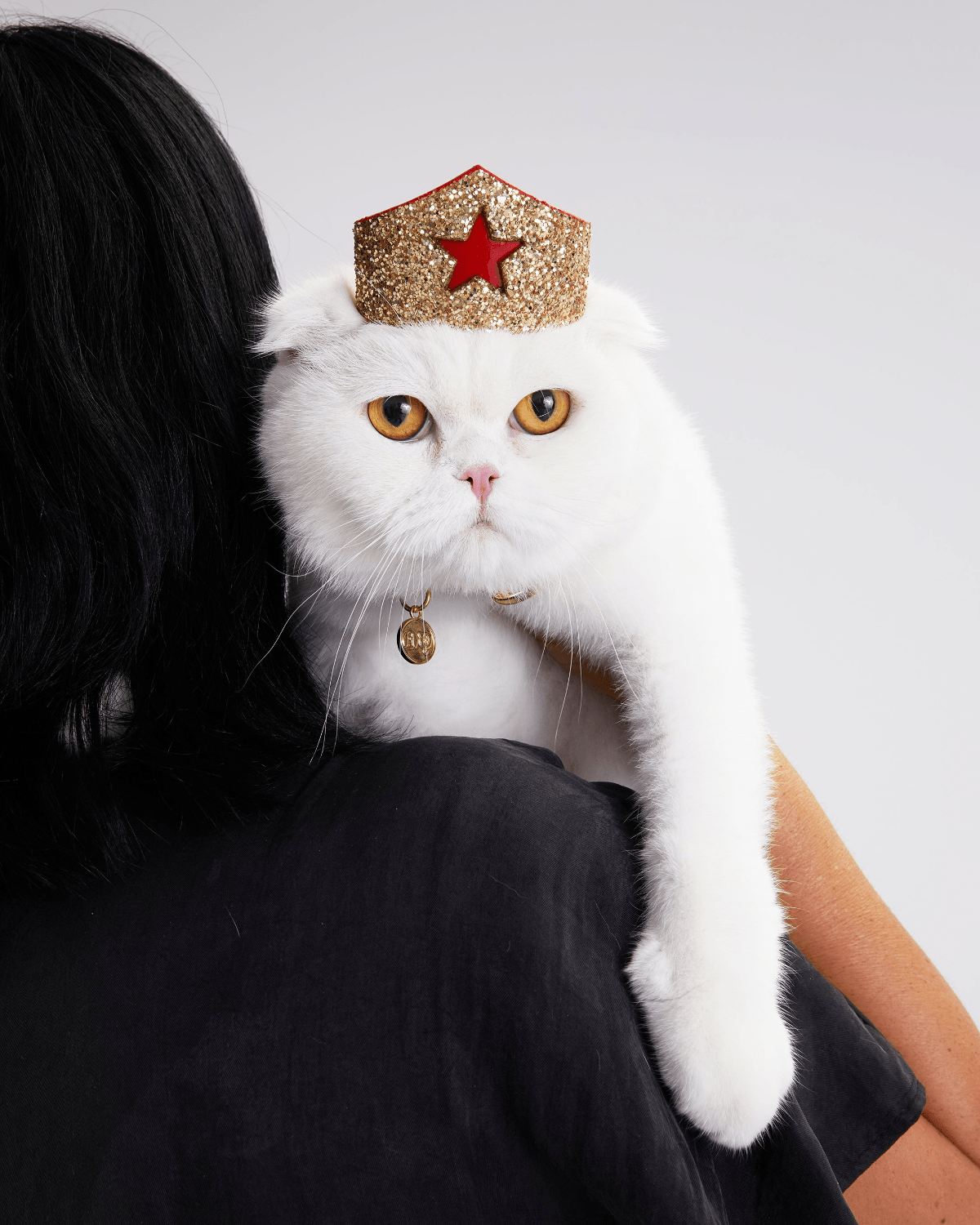 Golden Star Tiara for Felines– Moshiqa Store