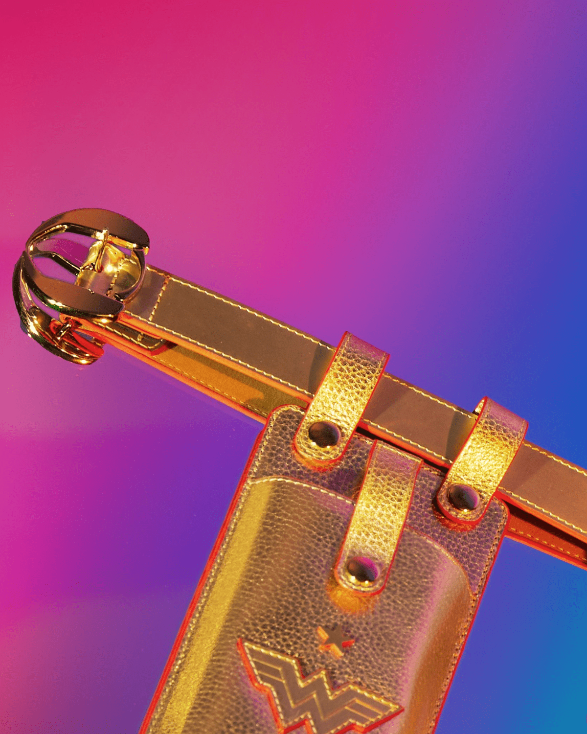 Golden Utility Belt with Leash - Moshiqa Store