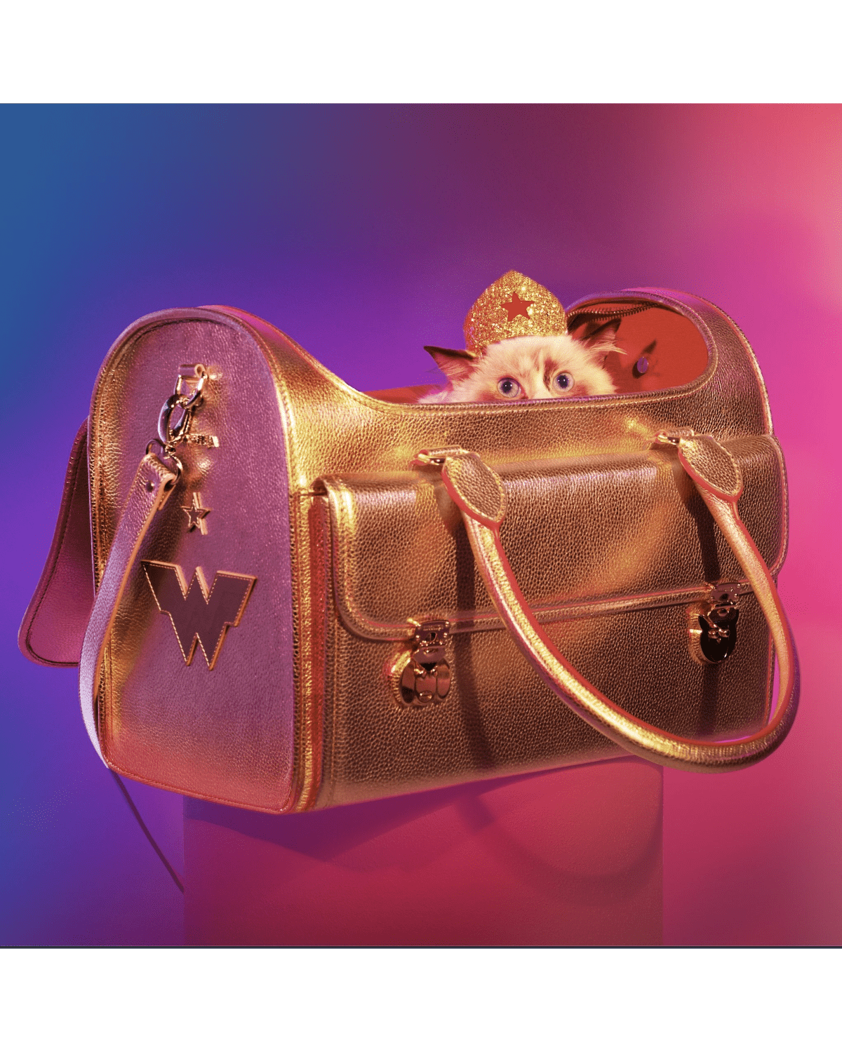 Golden Wonder Nest Cat Carrier - Moshiqa Store