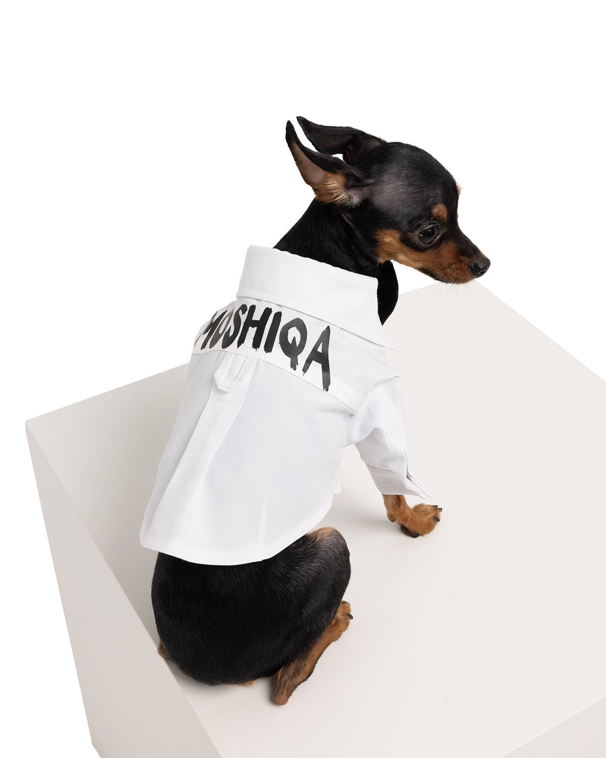 Groom Dog Shirt - Moshiqa Store