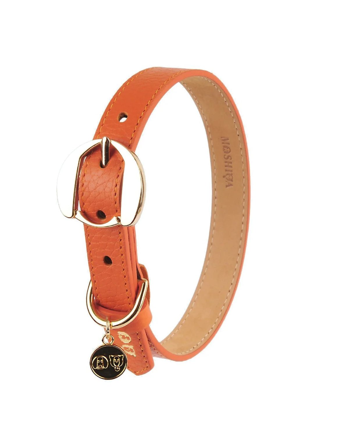Hachiko Dog Collar - Moshiqa Store
