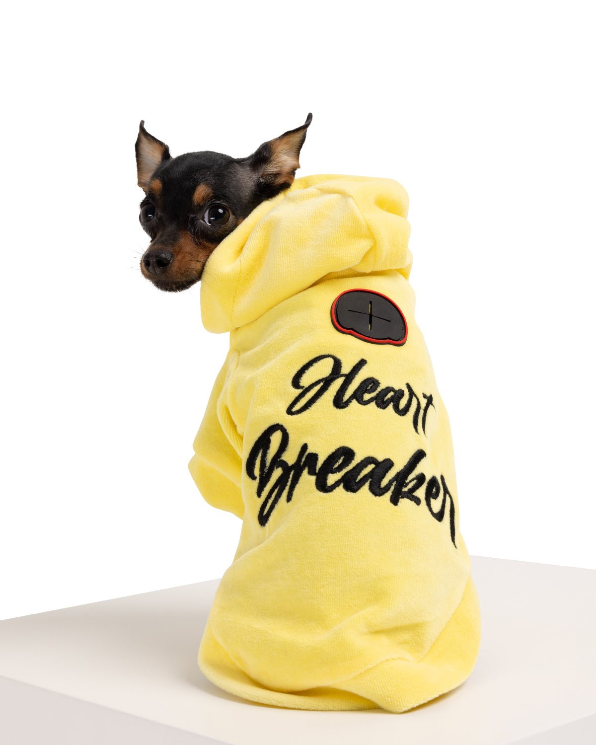 Heart Breaker Dog Hoodie - Moshiqa Store