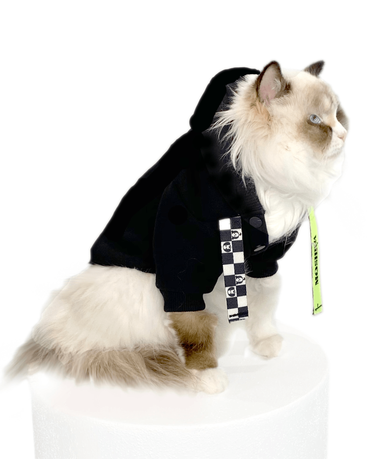 I Woof U Black Cat Hoodie - Moshiqa Store