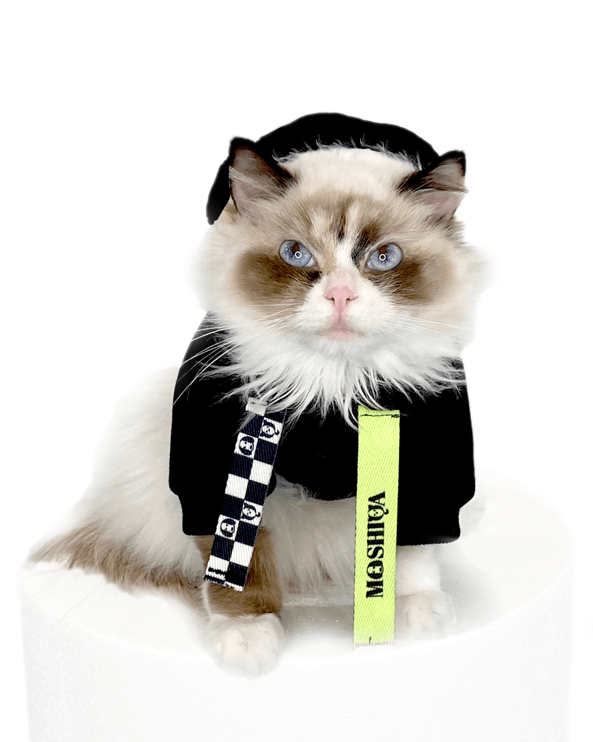 I Woof U Black Cat Hoodie - Moshiqa Store