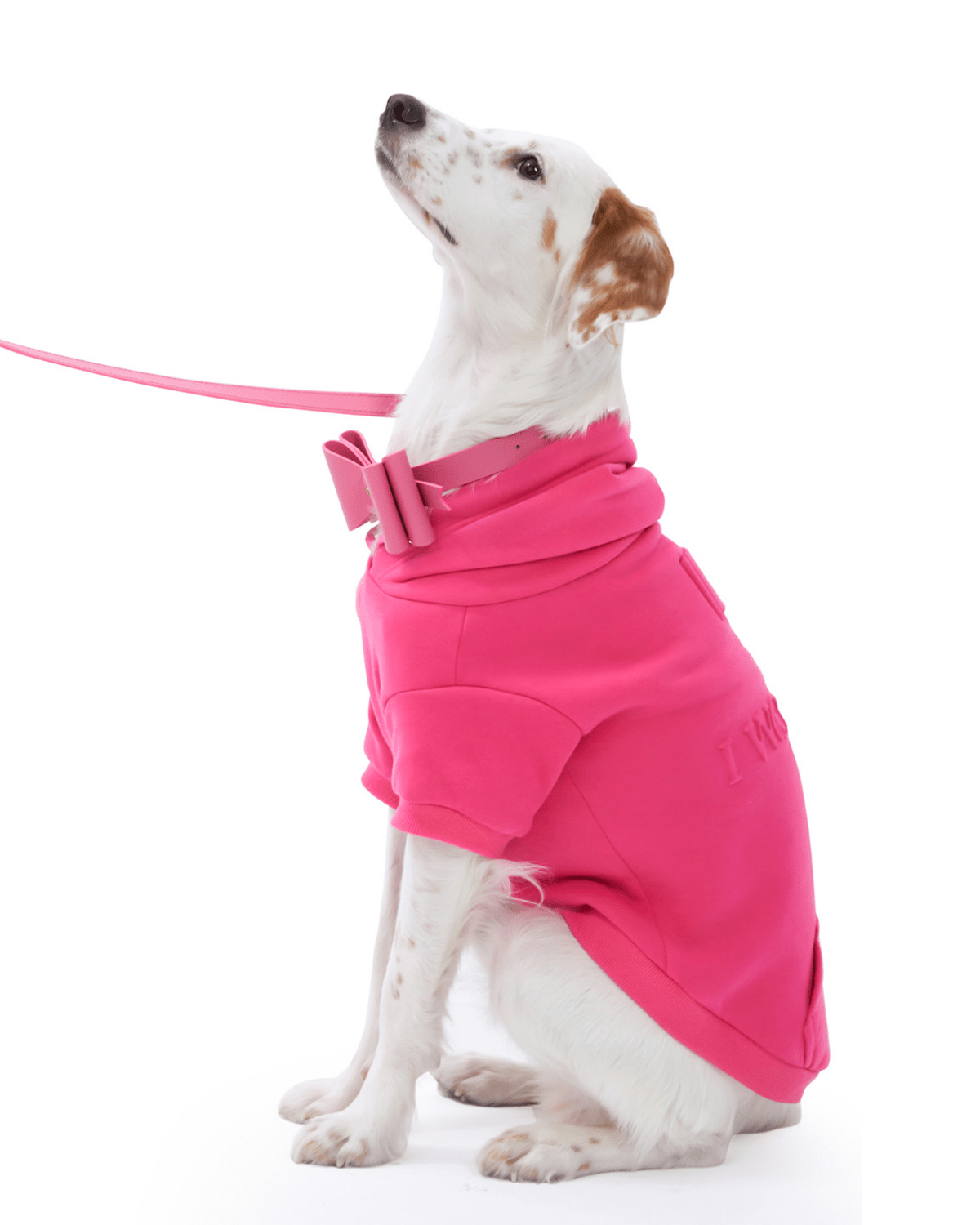 I Woof U Dog Hoodie - Moshiqa Store