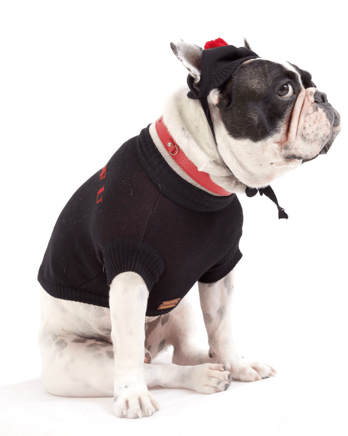I Woof U Dog Sweater - Moshiqa Store