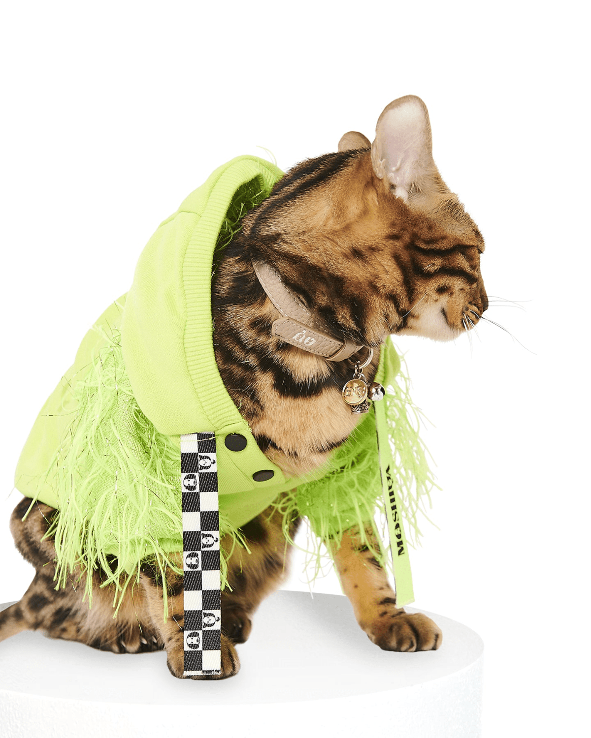 I Woof U Green Cat Hoodie– Moshiqa Store