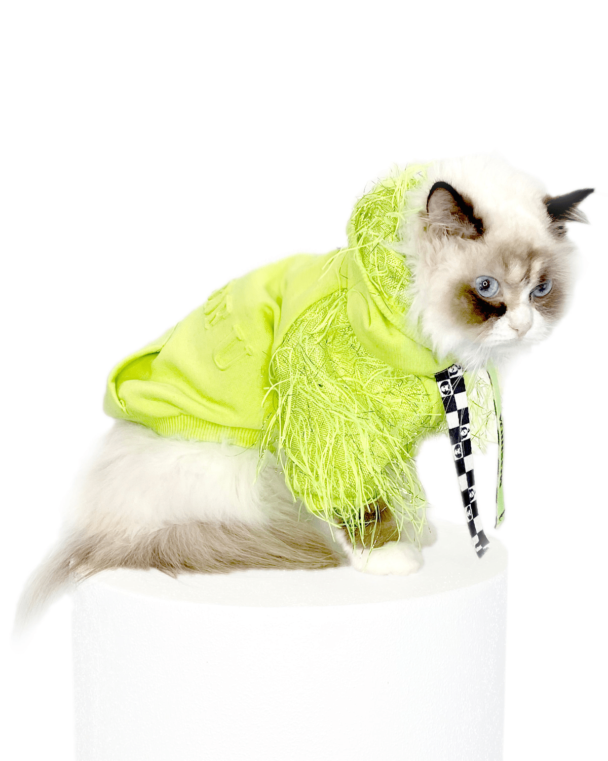 I Woof U Green Cat Hoodie - Moshiqa Store