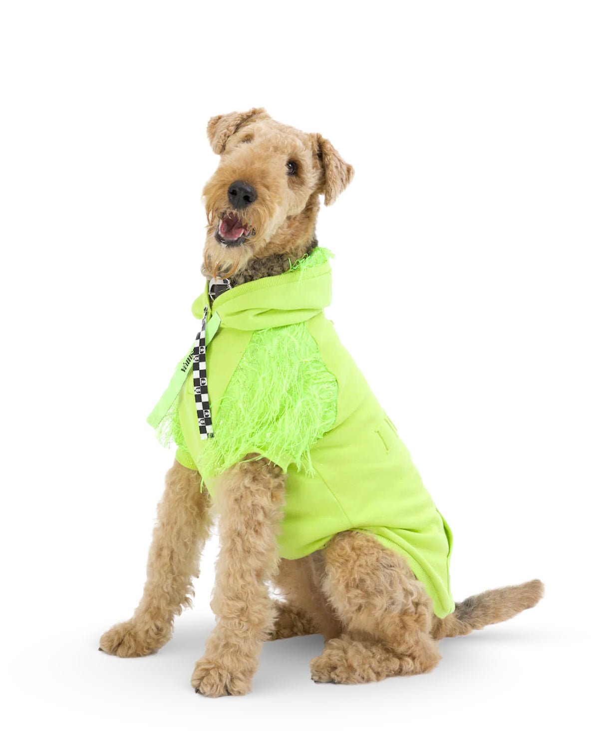 I Woof U Green Dog Hoodie - Moshiqa Store