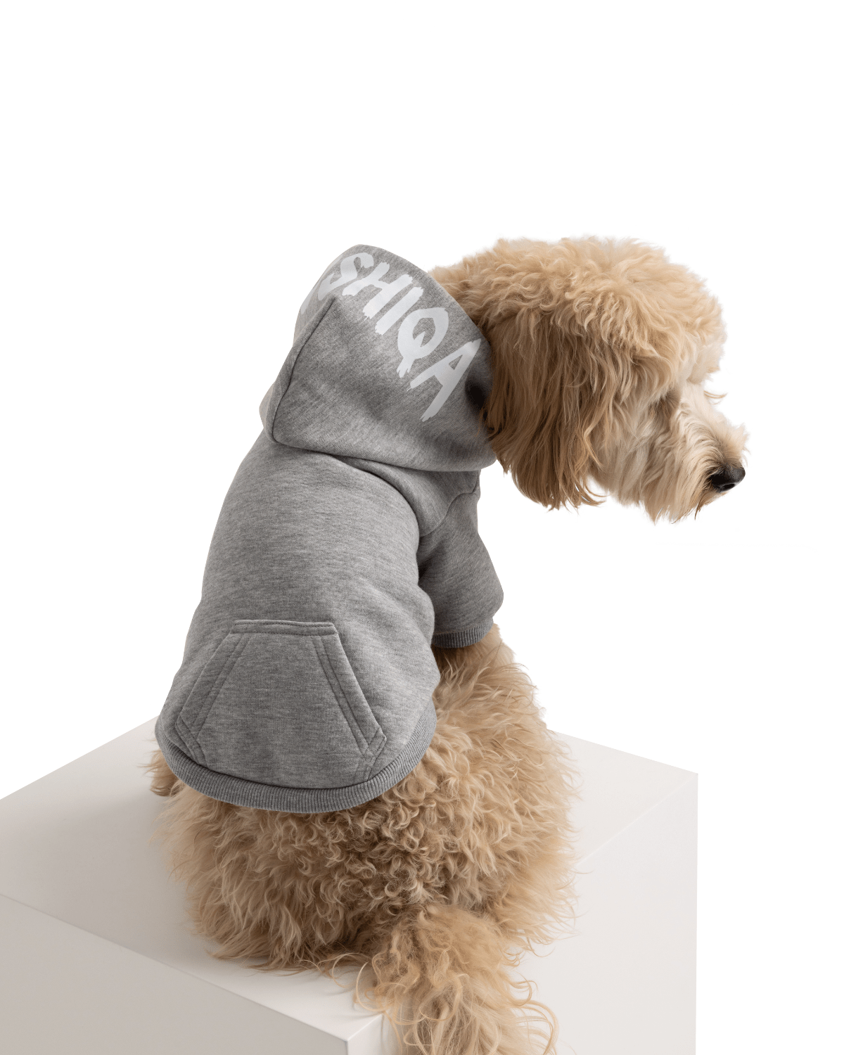 I Woof U Grey Pet Hoodie - Moshiqa Store