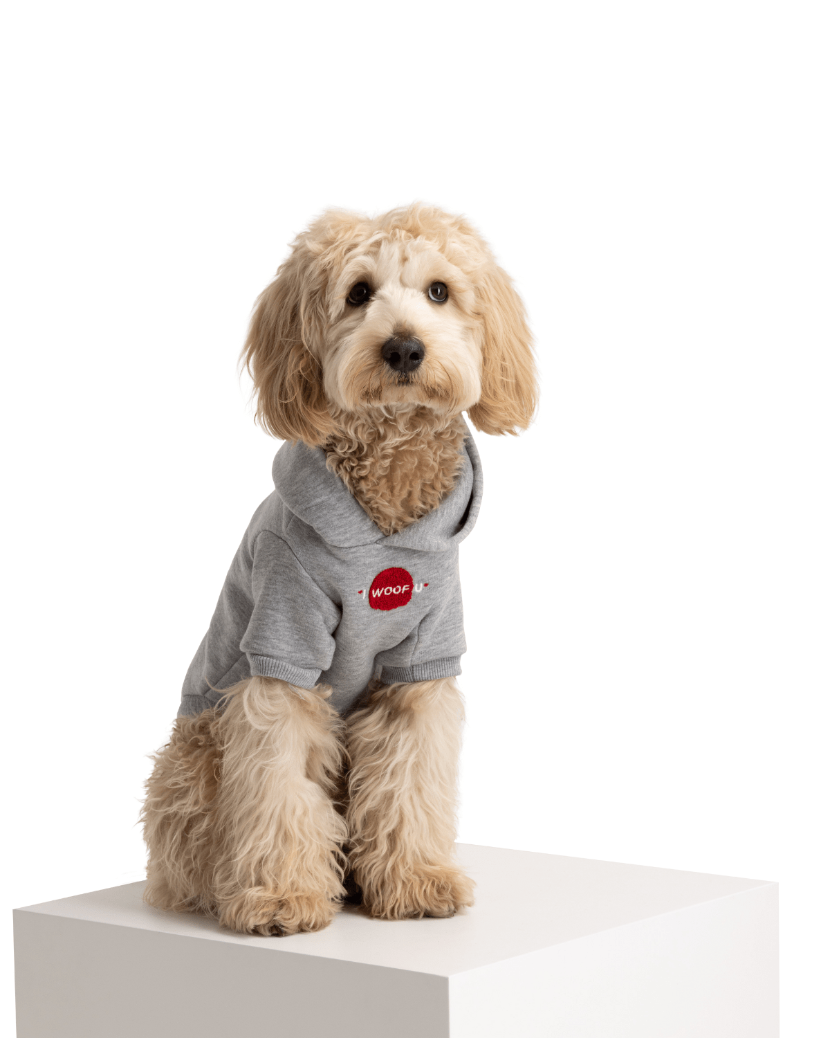 I Woof U Grey Pet Hoodie - Moshiqa Store