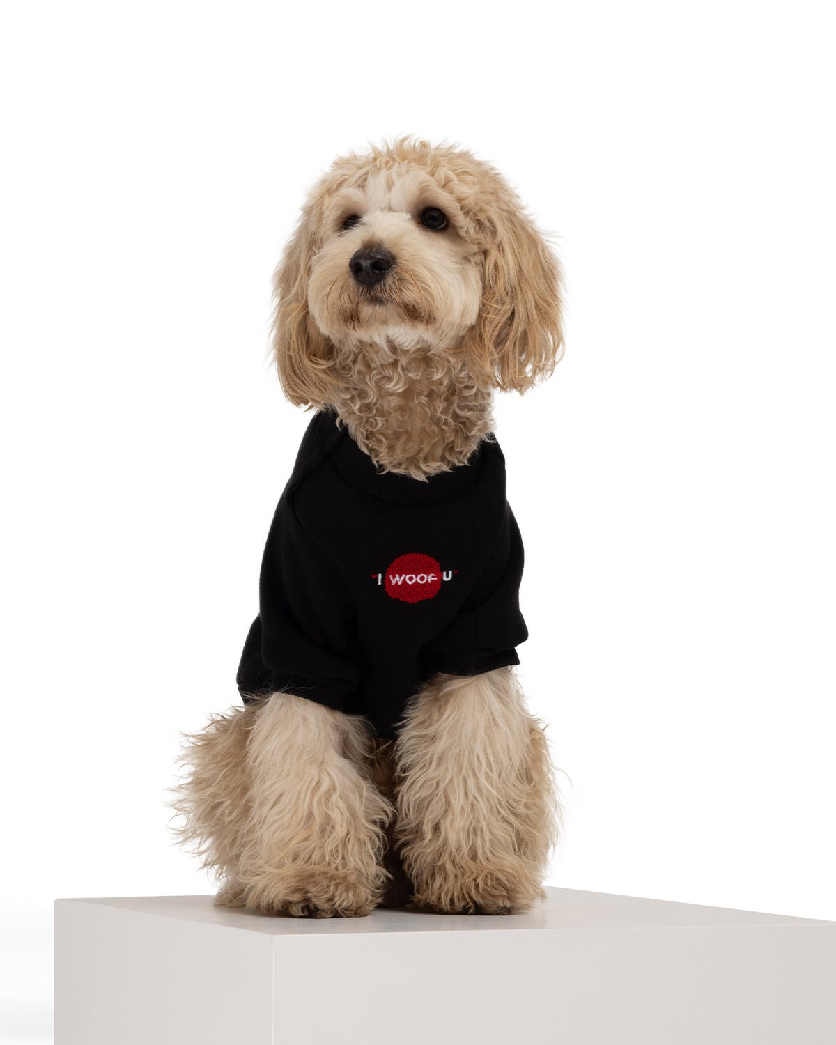 I Woof U Pet Sweatshirt - Moshiqa Store